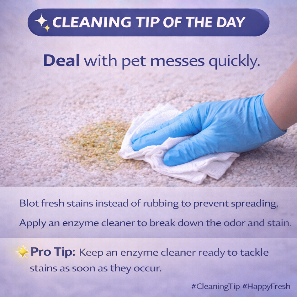 Pet messes happen – but acting quickly makes all the difference.